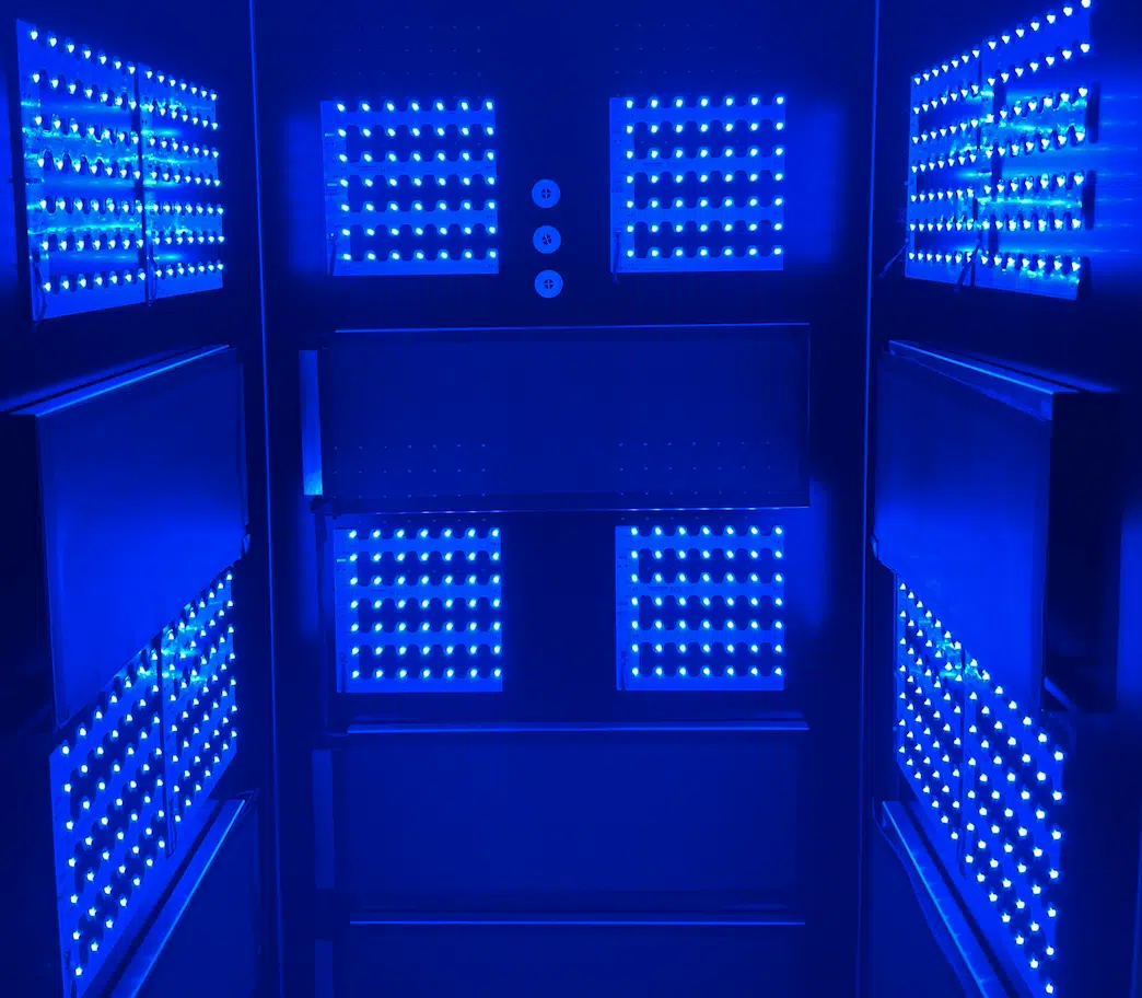 Lichttherapie-Koeln-Blau-Sauerstofftherapie.png
